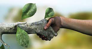 Ecocall, l'ecologia per un mondo più pulito
